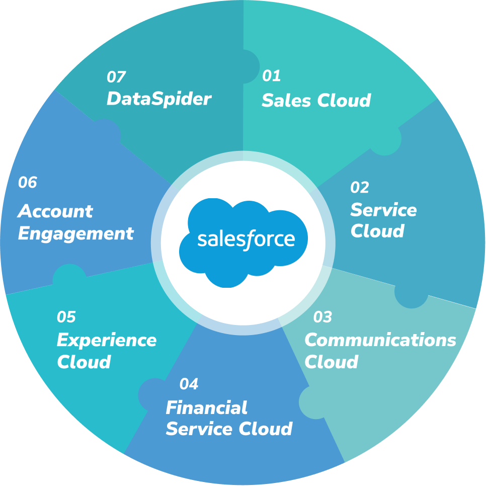 Salesforceの様々なサービスでの開発実績